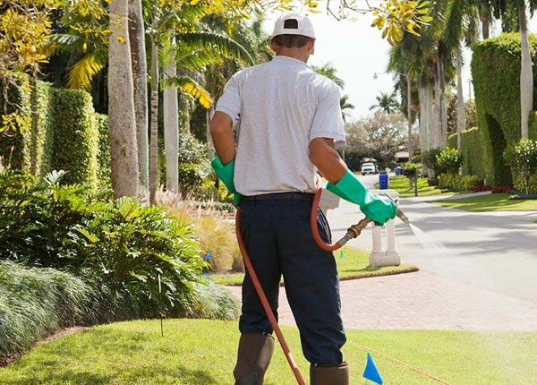 About Northbrook IL Pest Control